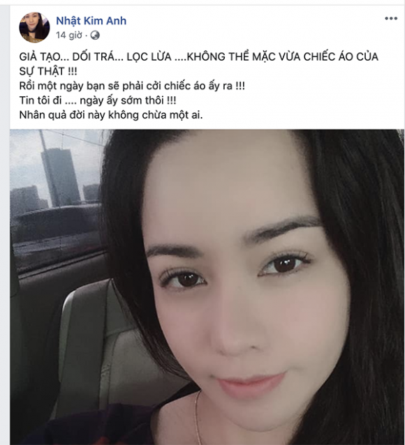 Nhật Kim Anh, con trai Nhật Kim Anh, sao Việt